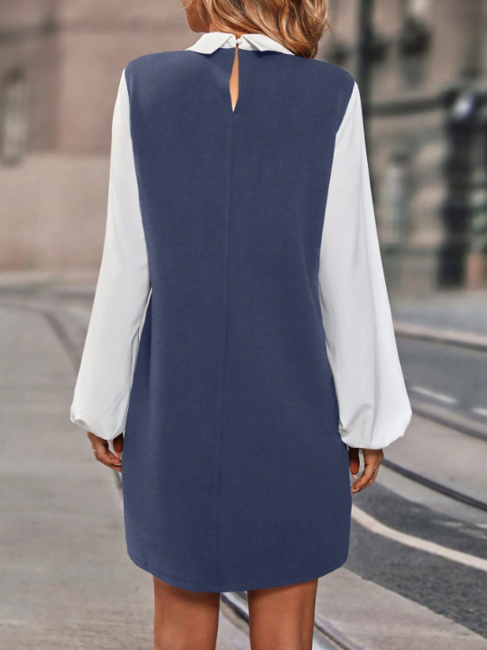 Two Tone Lantern Sleeve 2 In 1 Dress