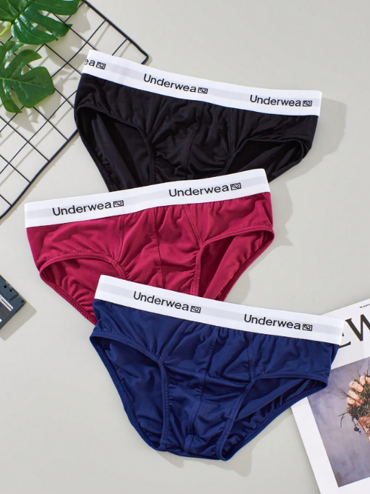 3pcs/Set Men's Triangle Underwear With Letter Weave Band