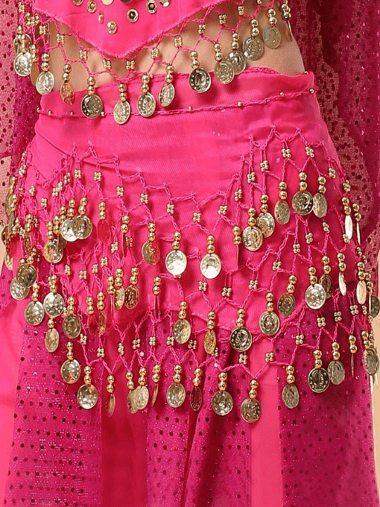 1pc Women's Belly Dance Waist Chain, Dance Costume, Festival Performance Scarf, Chiffon Waist Chain, Waist Belt, Waist Decoration, Waist Skirt Boho - Lolli World Marketplace