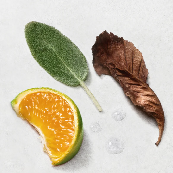 Armani Acqua di Giò Pour Homme