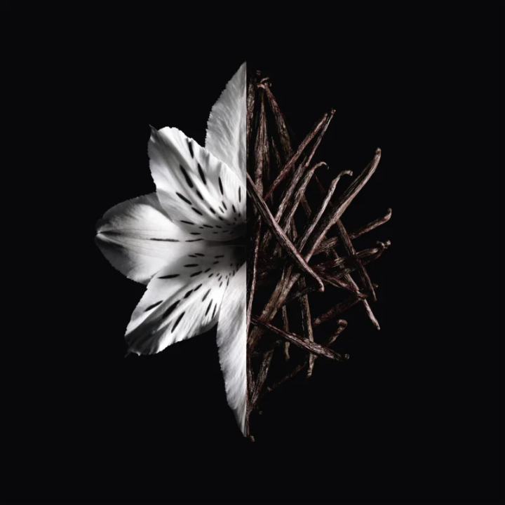 L’Interdit Intense