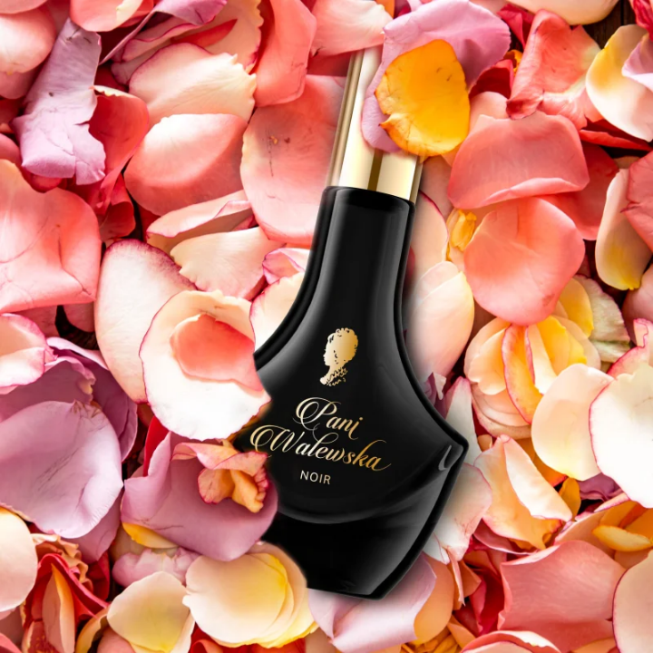 Pani Walewska Noir