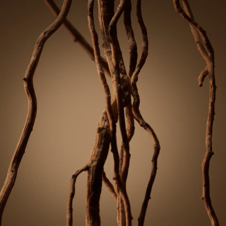 Hugo Boss BOSS Bottled