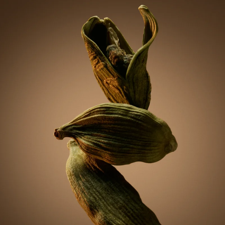 Hugo Boss BOSS Bottled