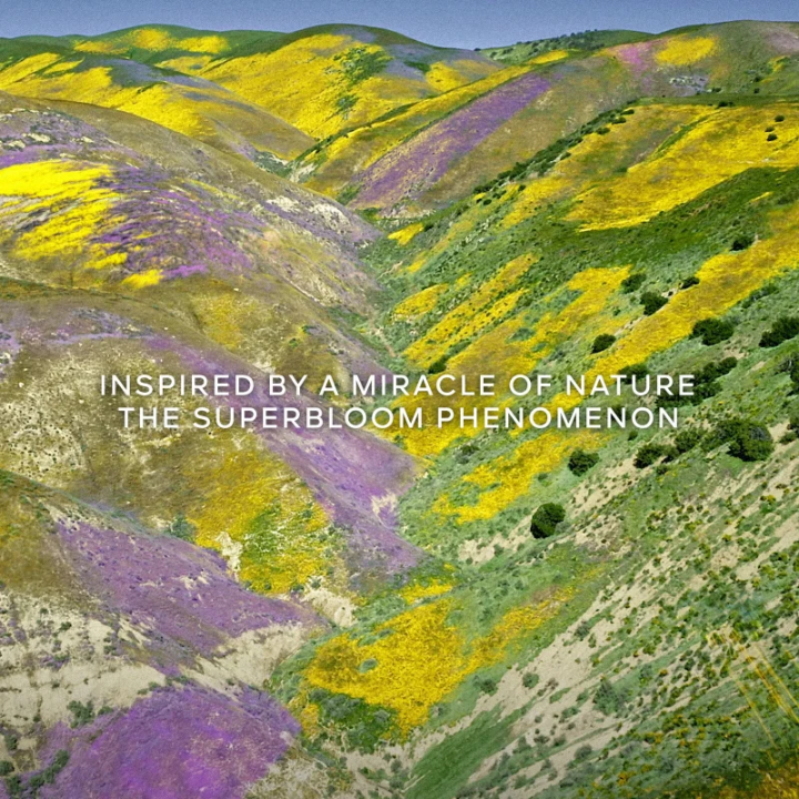 Aqua Allegoria Florabloom Forte