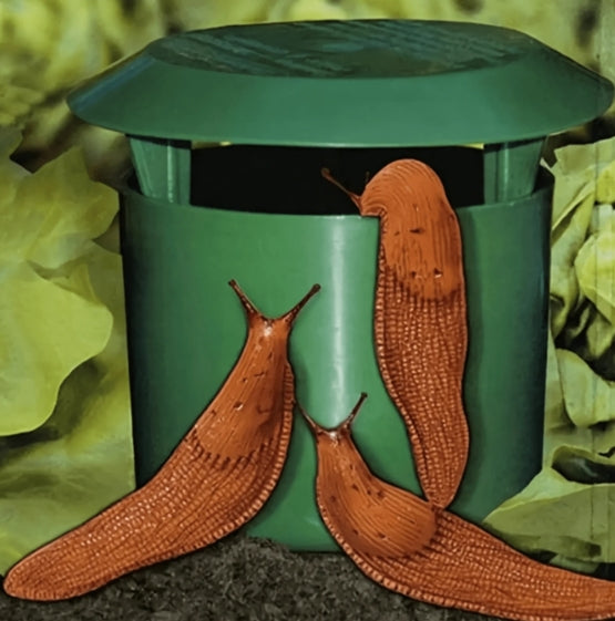 Plastic Snail Cage - Slug Catcher Trap Tool