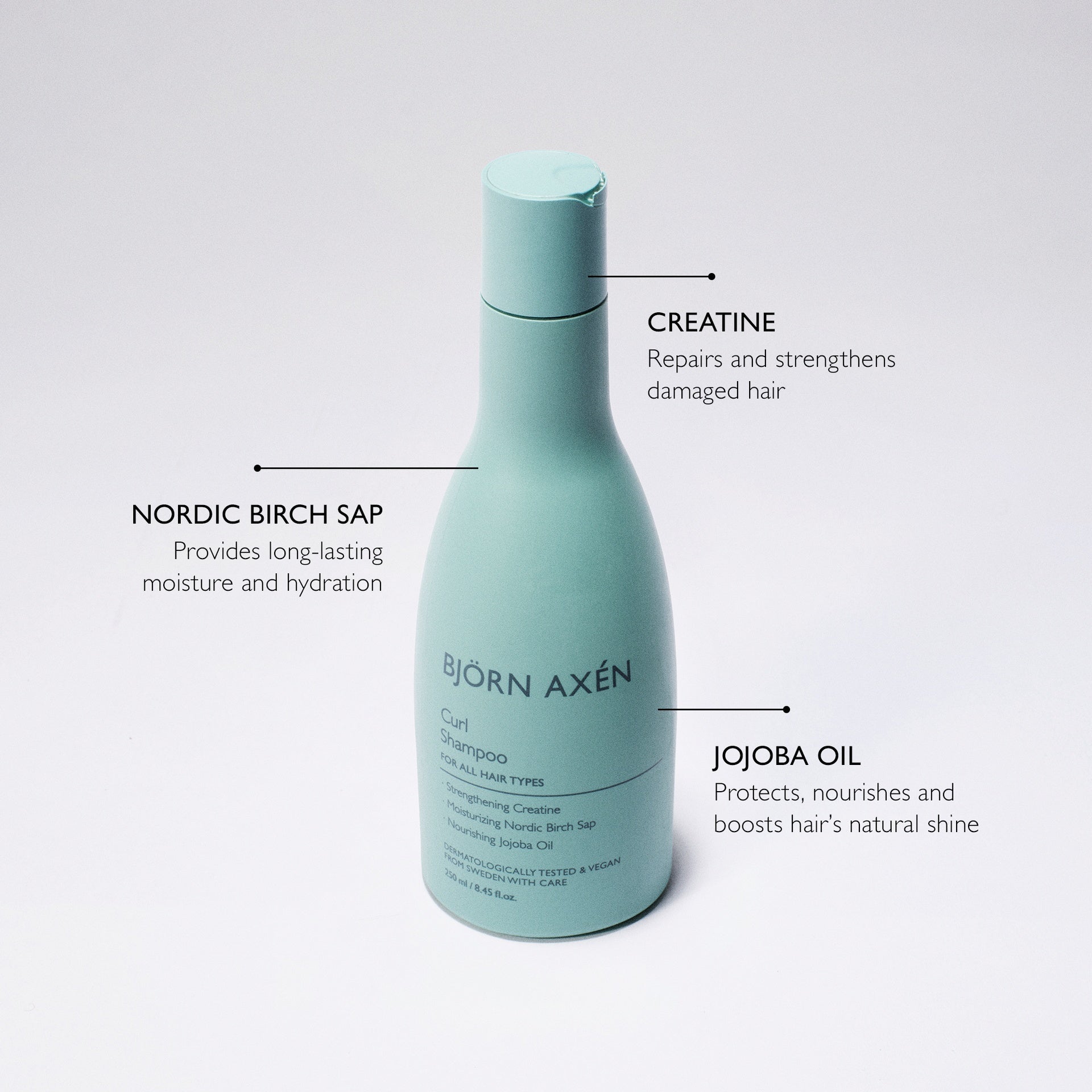 Björn Axén Curl Shampoo 250 ml