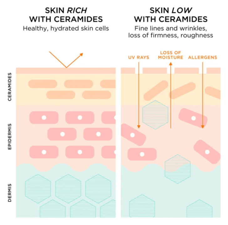 Elizabeth Arden Advanced Ceramide