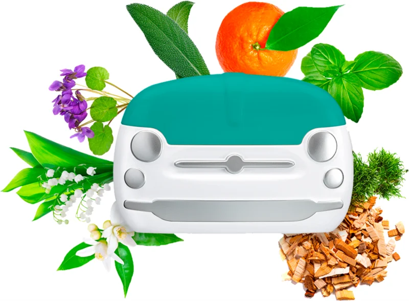 Fiat 500 Special Edition