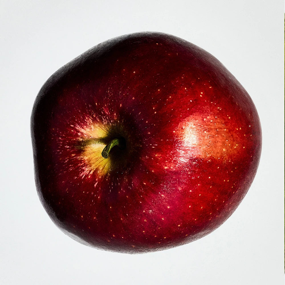 Loewe Solo Ella Gift Box for Women