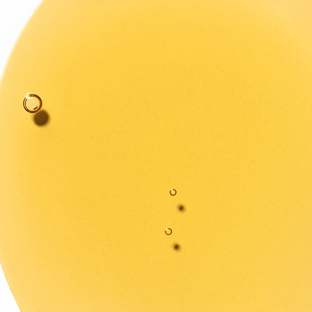 Payot Source Nutrition Lip Oil