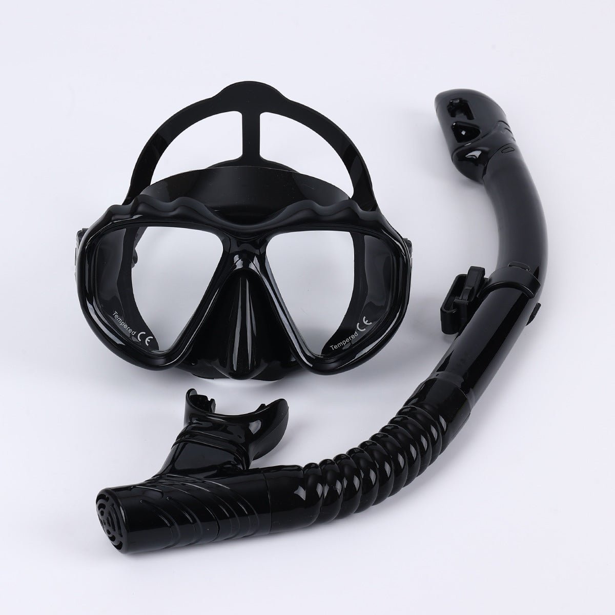 Professional Mask and dry snorkel for SCUBA diving