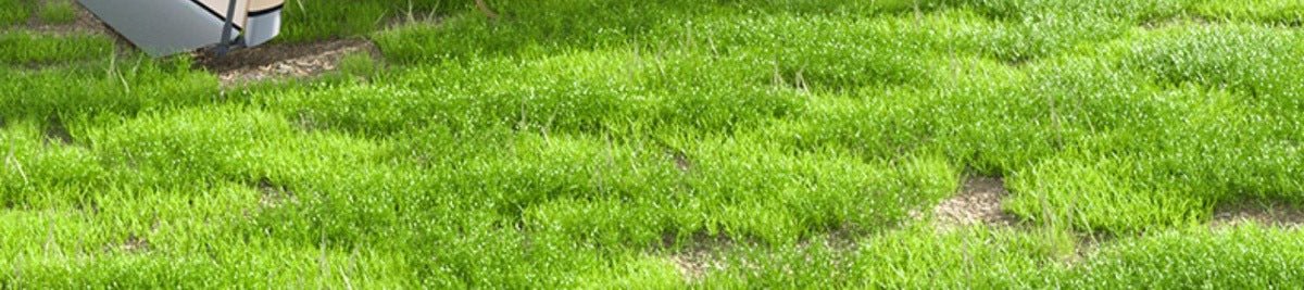 image12