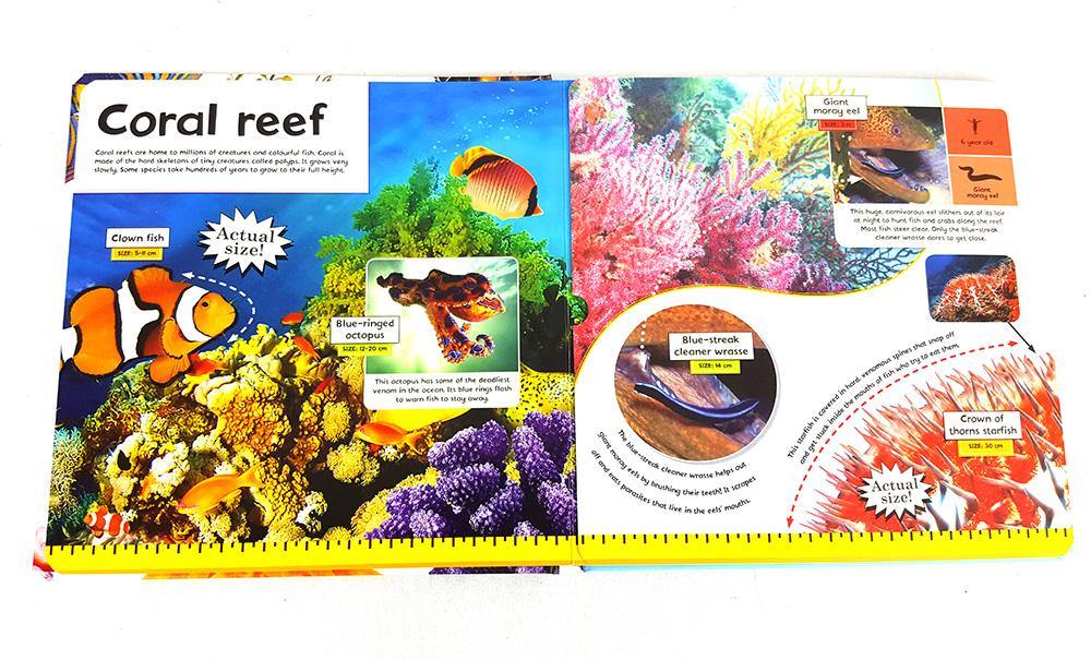 Life-Size Ocean Animals - Arabian Shopping Zone
