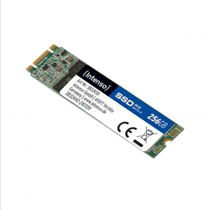 Intenso SSD Top - 256GB - M.2 2280 - SATA-600
