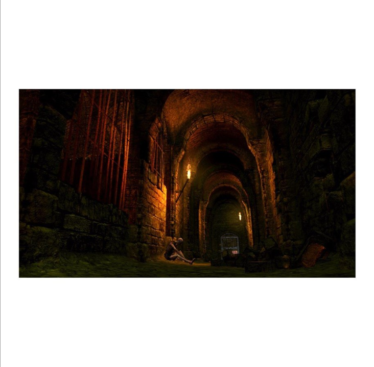 Dark Souls: Remastered - Sony PlayStation 4 - RPG