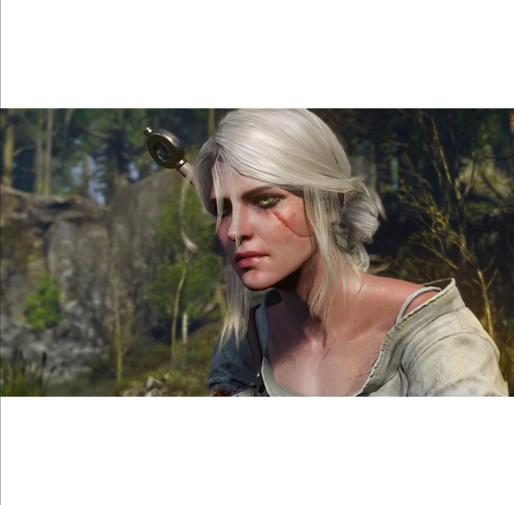 The Witcher III: Wild Hunt - Game of The Year Edition - Windows - RPG