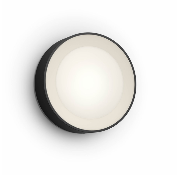 Philips Hue Outdoor Daylo Wall Lamp - Black