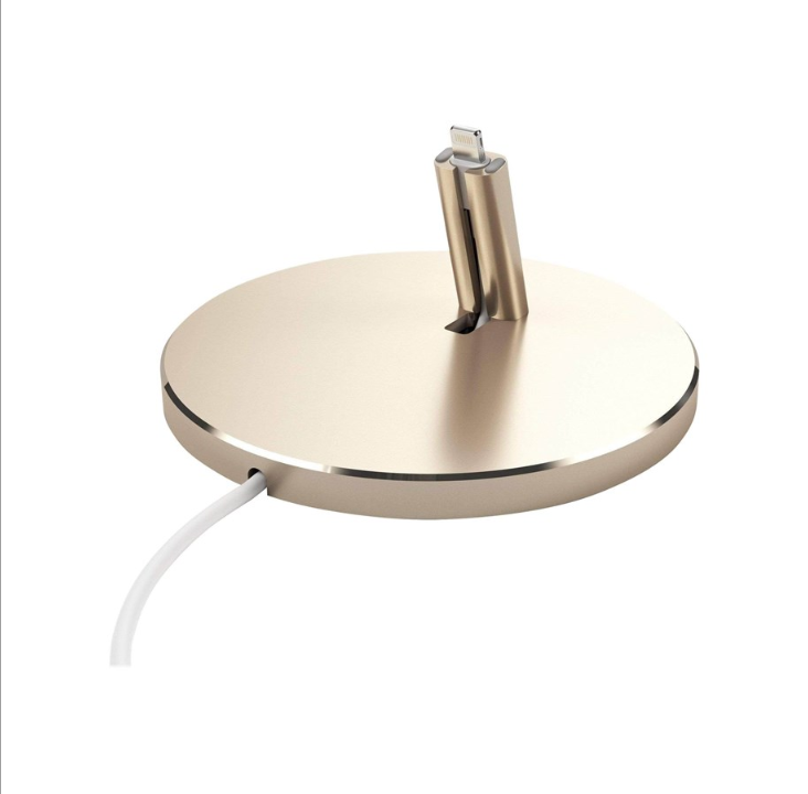 Satechi ST-AIPDG charging station