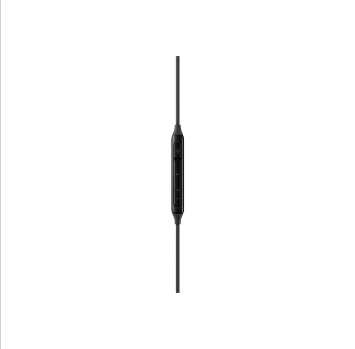 Samsung EO-IC100 Type-C Earphones - Black