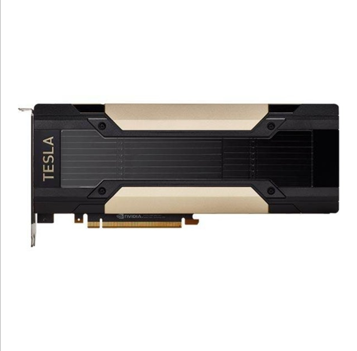 PNY Tesla V100S - HBM2 - Graphics card
