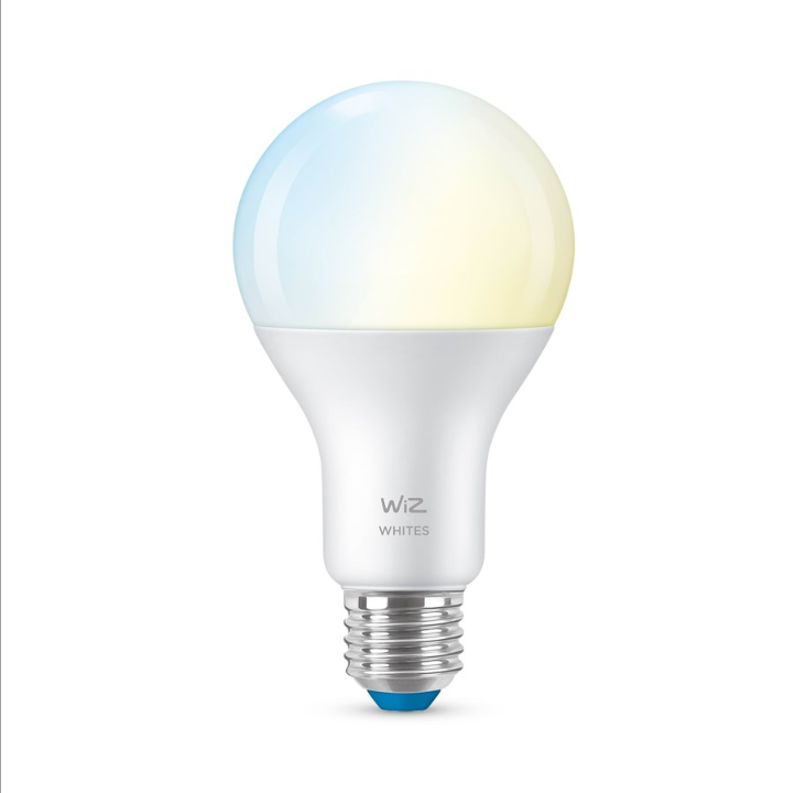 مصدر الضوء WiZ A67 E27