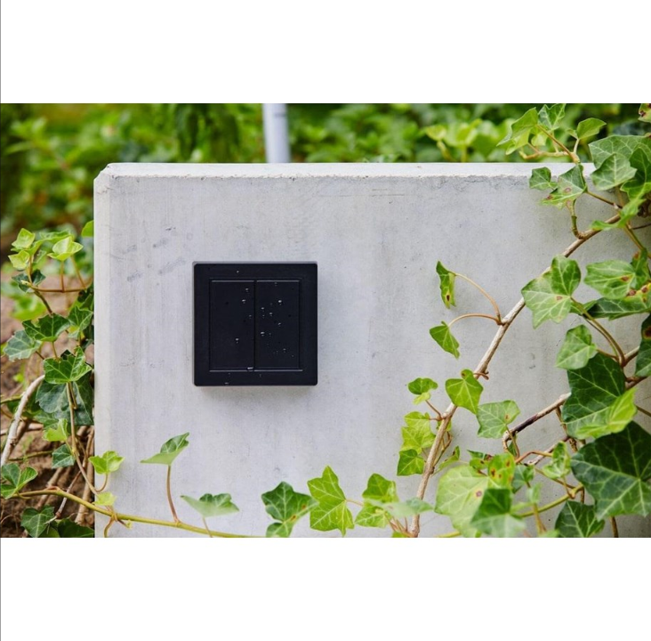 Senic Friends of Hue Outdoor Switch