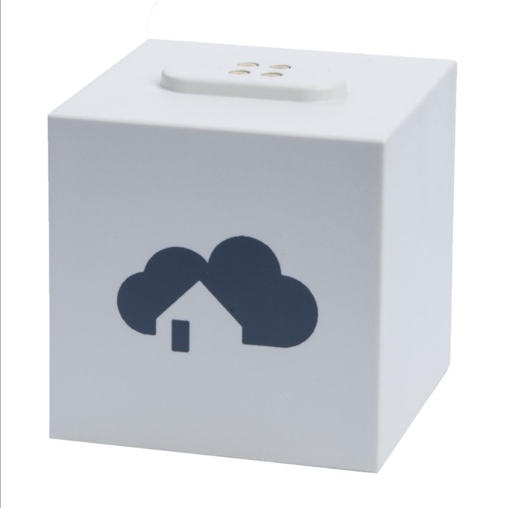 هومي الدماغ مكعب