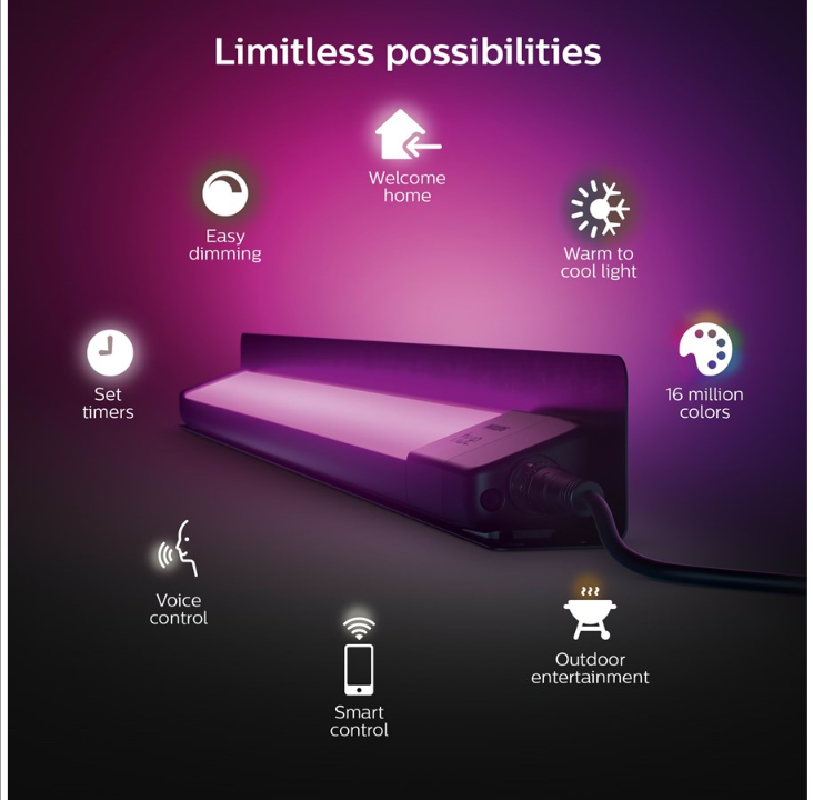 Philips Hue Outdoor Amaranth Floodlight