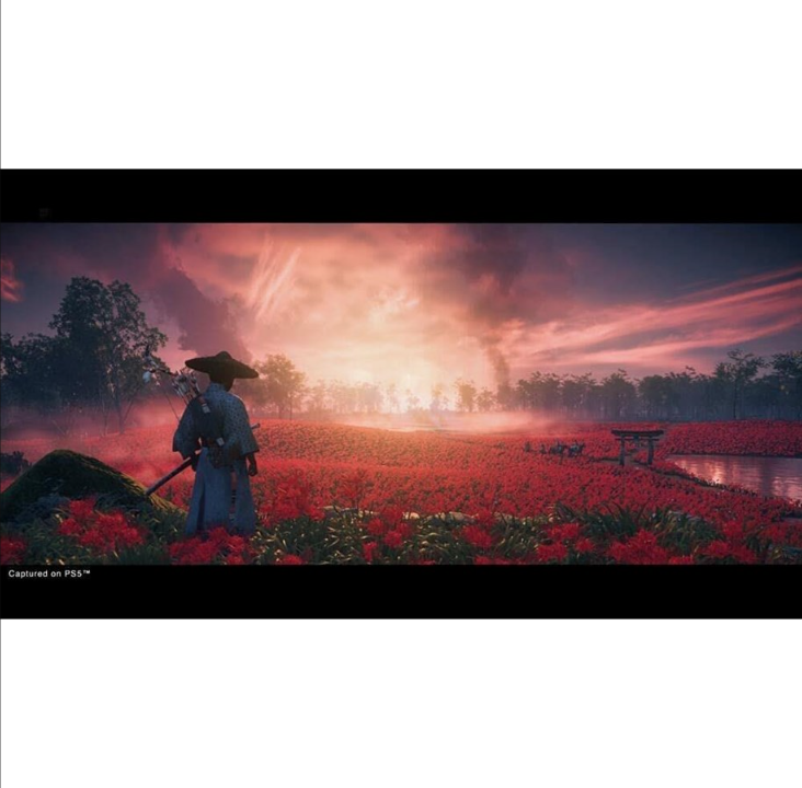 对马岛之魂 - 导演剪辑版 - Sony PlayStation 4 - 动作/冒险 *DEMO*