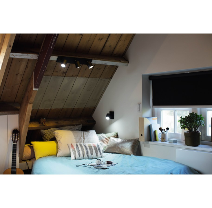 飞利浦 Hue RunWhen 单聚光灯 - 黑色 - 不带调光器开关