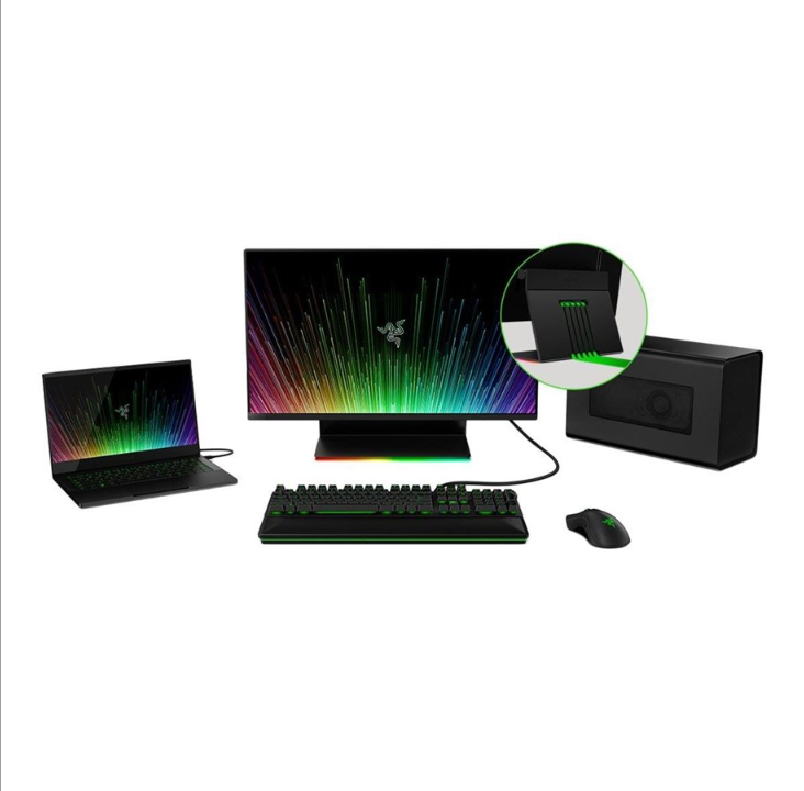 27" Razer Raptor - 2560x1440 - 165Hz - IPS - USB-C - 1 ms - 屏幕