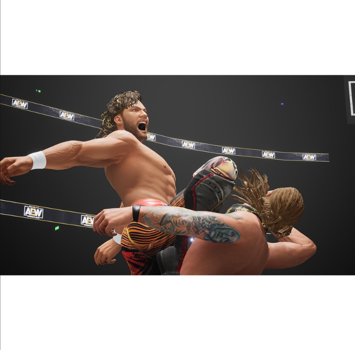AEW:永远战斗 - Sony PlayStation 4 - 武术