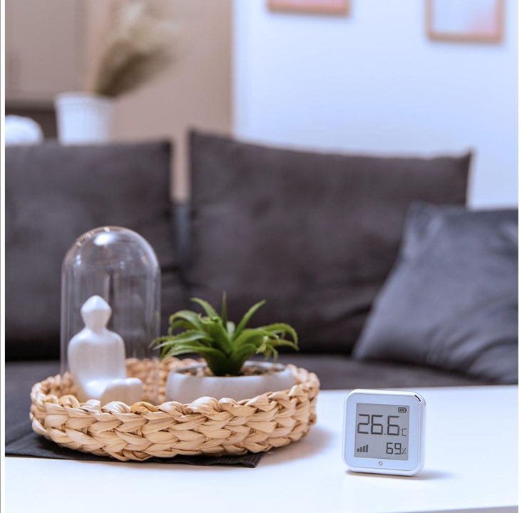 شيلي بلس اتش اند تي