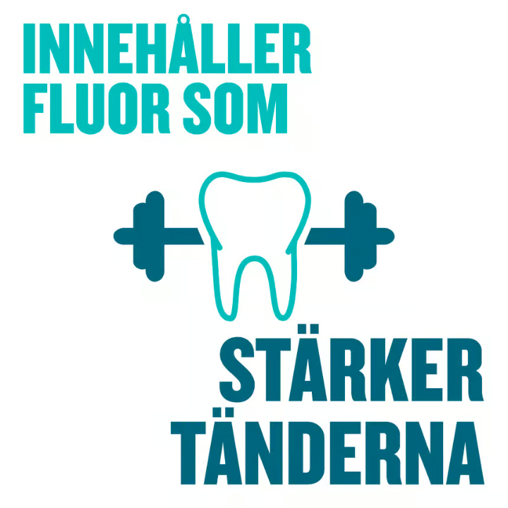 Listerine Total Care Teeth & Gum 500 ml