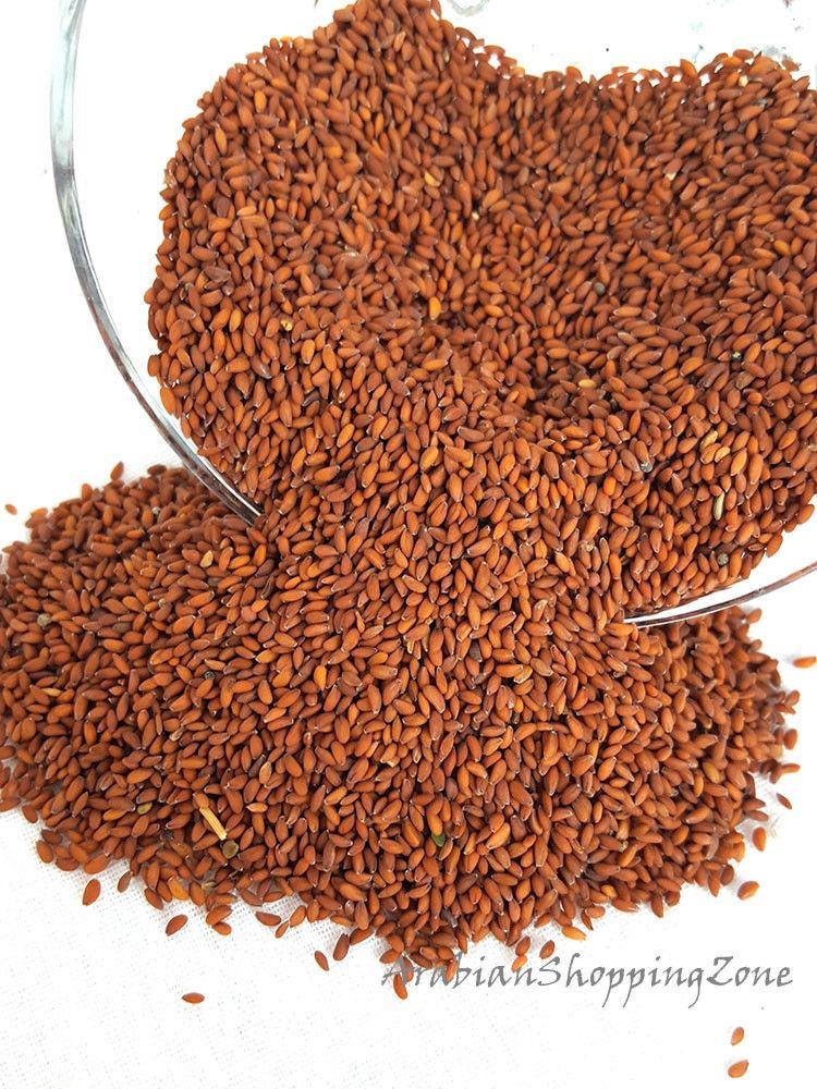 Lepidium sativum Garden Cress Seeds LOT بذر الرشاد - Arabian Shopping Zone