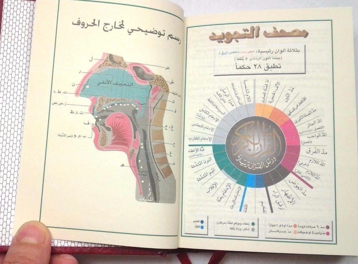 Tajweed Quran Arabic Islam Color Coded Whole Quraan Hardcover 6" (15*11CM) - Arabian Shopping Zone