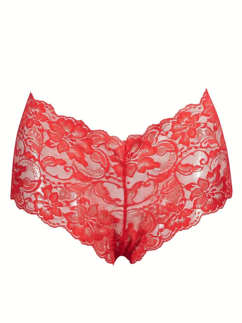 Floral Lace Panties, Breathable Semi-sheer Elastic Panties, Women's Sexy Lingerie & Underwear