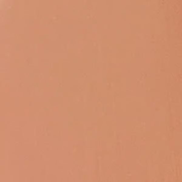 أحمر شفاه مرطب بيرفكت من إيسادورا 223 كراميل لامع 4 جرام