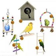 For Birds - Lolli World Marketplace