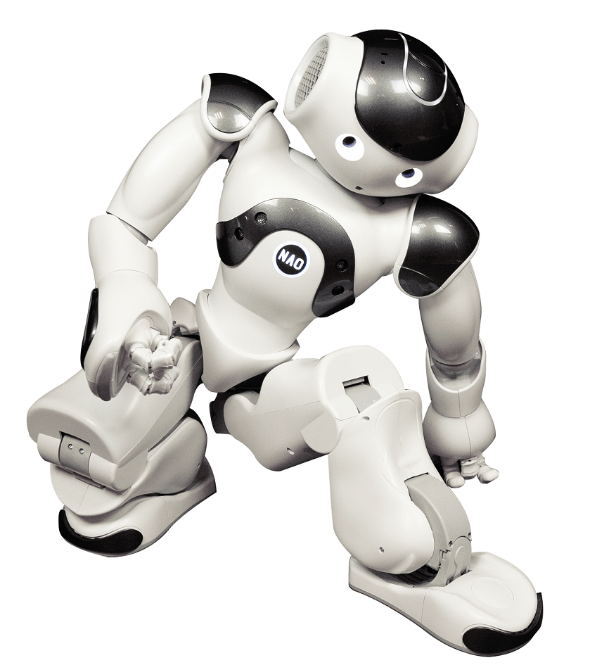 Robots - Lolli World Marketplace