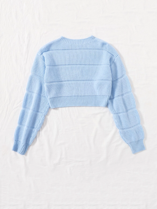 Ribbed Knit Solid Crop Sweater