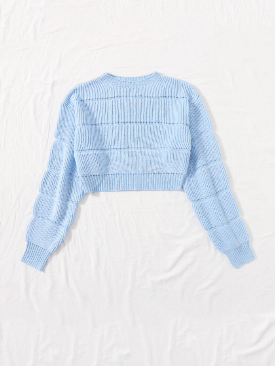 Ribbed Knit Solid Crop Sweater