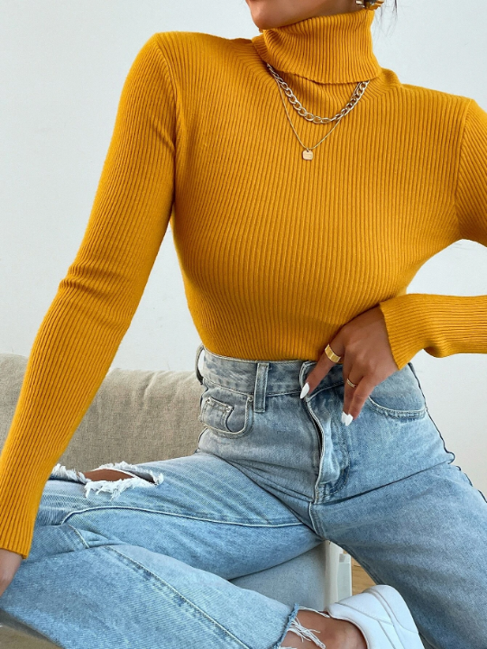 Mulvari Turtleneck Ribbed Knit Sweater Without Necklace