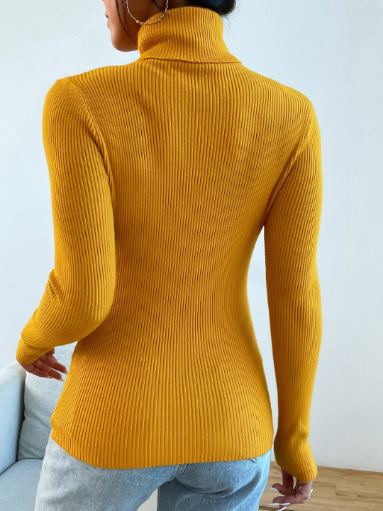 Mulvari Turtleneck Ribbed Knit Sweater Without Necklace