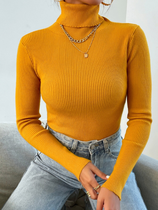 Mulvari Turtleneck Ribbed Knit Sweater Without Necklace