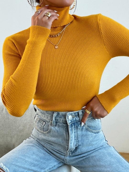 Mulvari Turtleneck Ribbed Knit Sweater Without Necklace