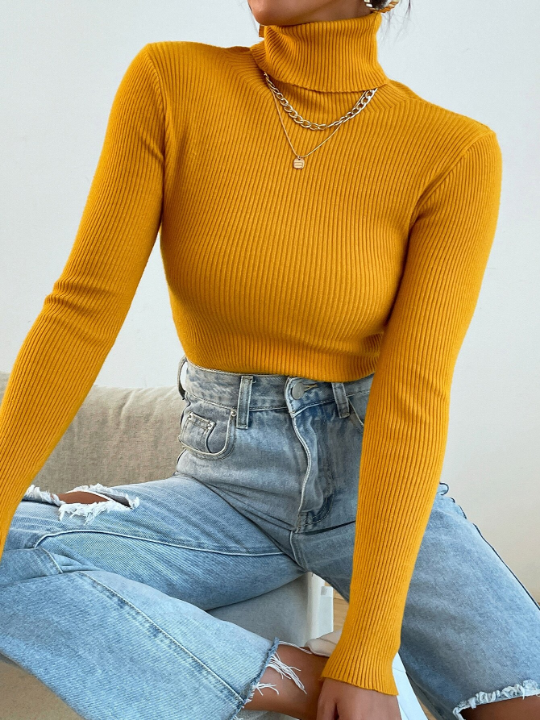 Mulvari Turtleneck Ribbed Knit Sweater Without Necklace