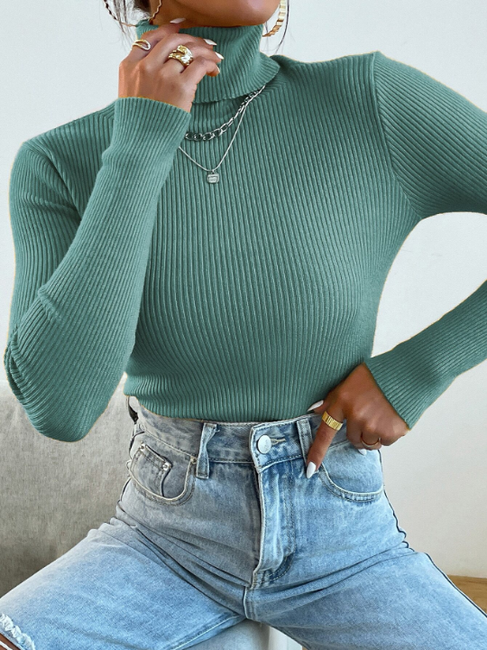 Mulvari Turtleneck Ribbed Knit Sweater Without Necklace