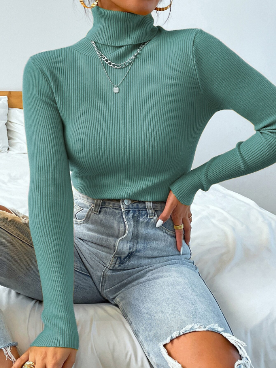 Mulvari Turtleneck Ribbed Knit Sweater Without Necklace